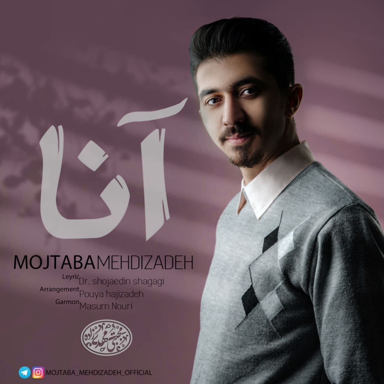 مجتبی مهدی زاده آنا